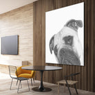 Qué Pasa? by Jon Bertelli on GIANT ART - multicolor animals; photography