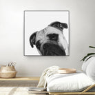 Qué Pasa? by Jon Bertelli on GIANT ART - multicolor animals; photography