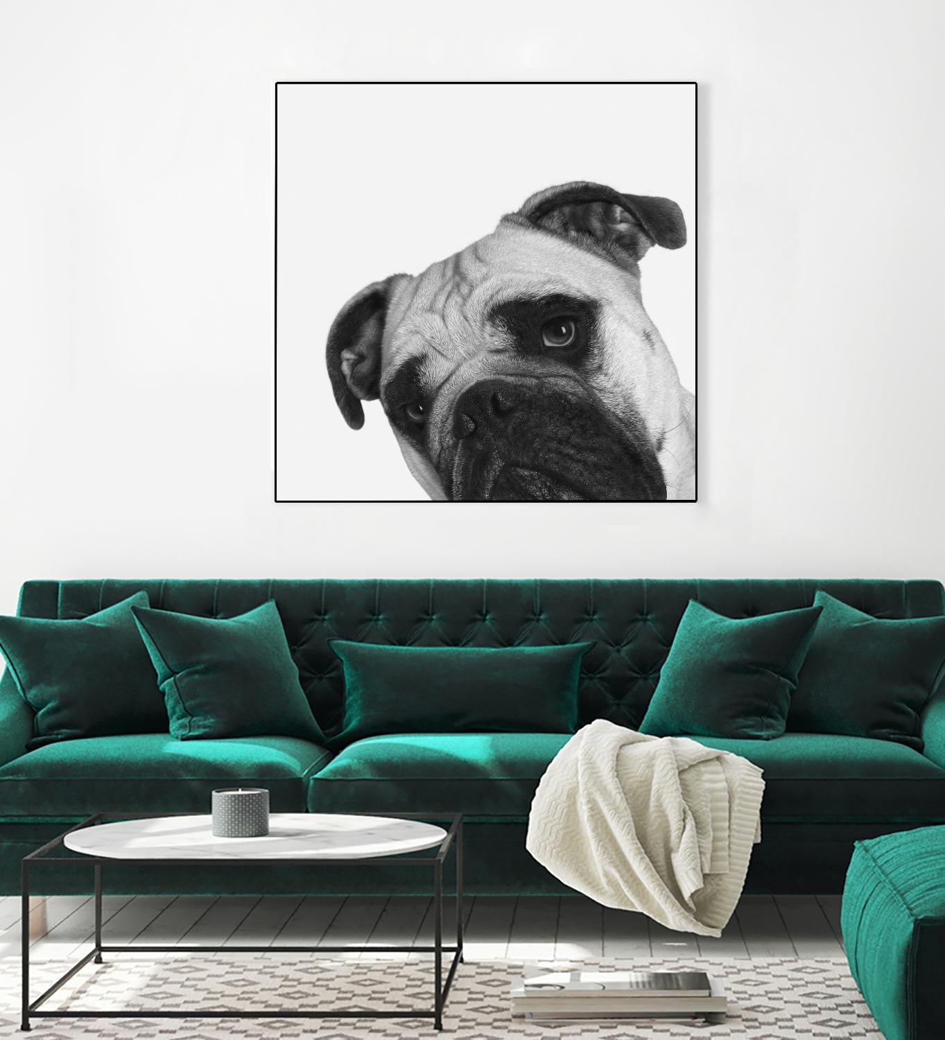 Qué Pasa? by Jon Bertelli on GIANT ART - multicolor animals; photography