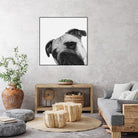 Qué Pasa? by Jon Bertelli on GIANT ART - multicolor animals; photography