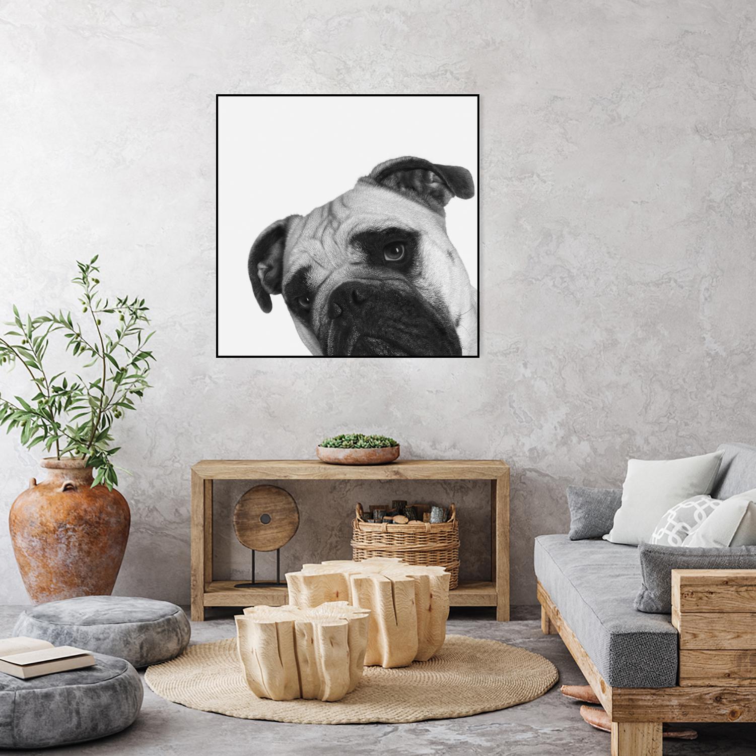 Qué Pasa? by Jon Bertelli on GIANT ART - multicolor animals; photography