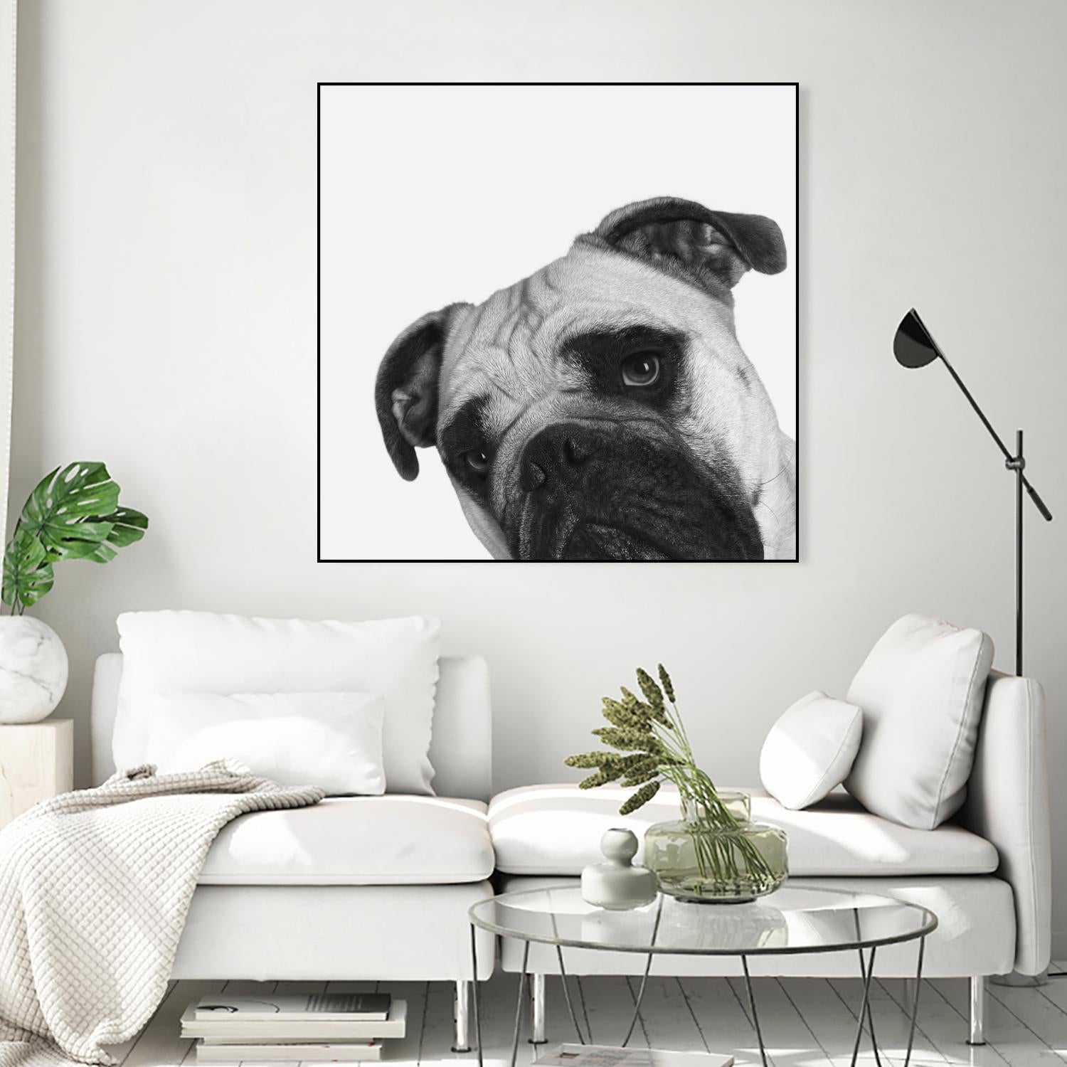 Qué Pasa? by Jon Bertelli on GIANT ART - multicolor animals; photography