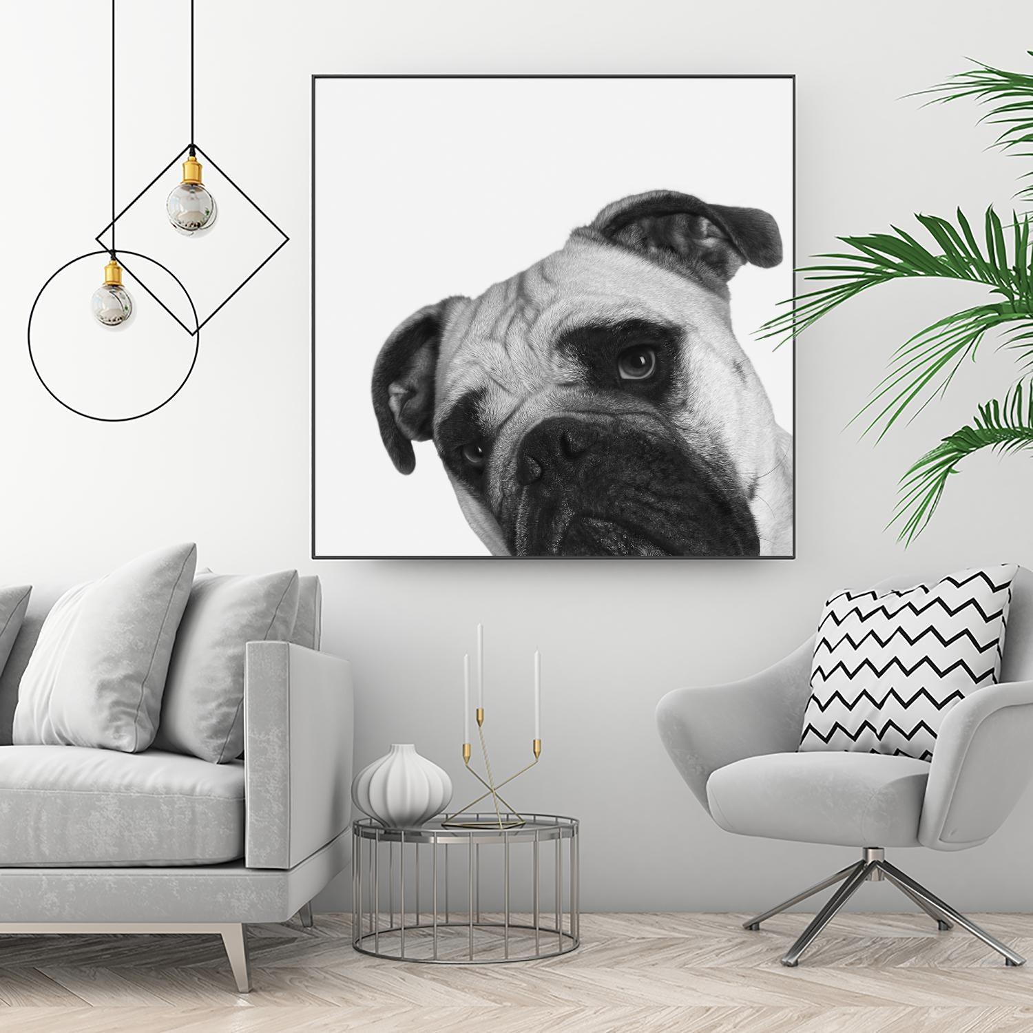 Qué Pasa? by Jon Bertelli on GIANT ART - multicolor animals; photography