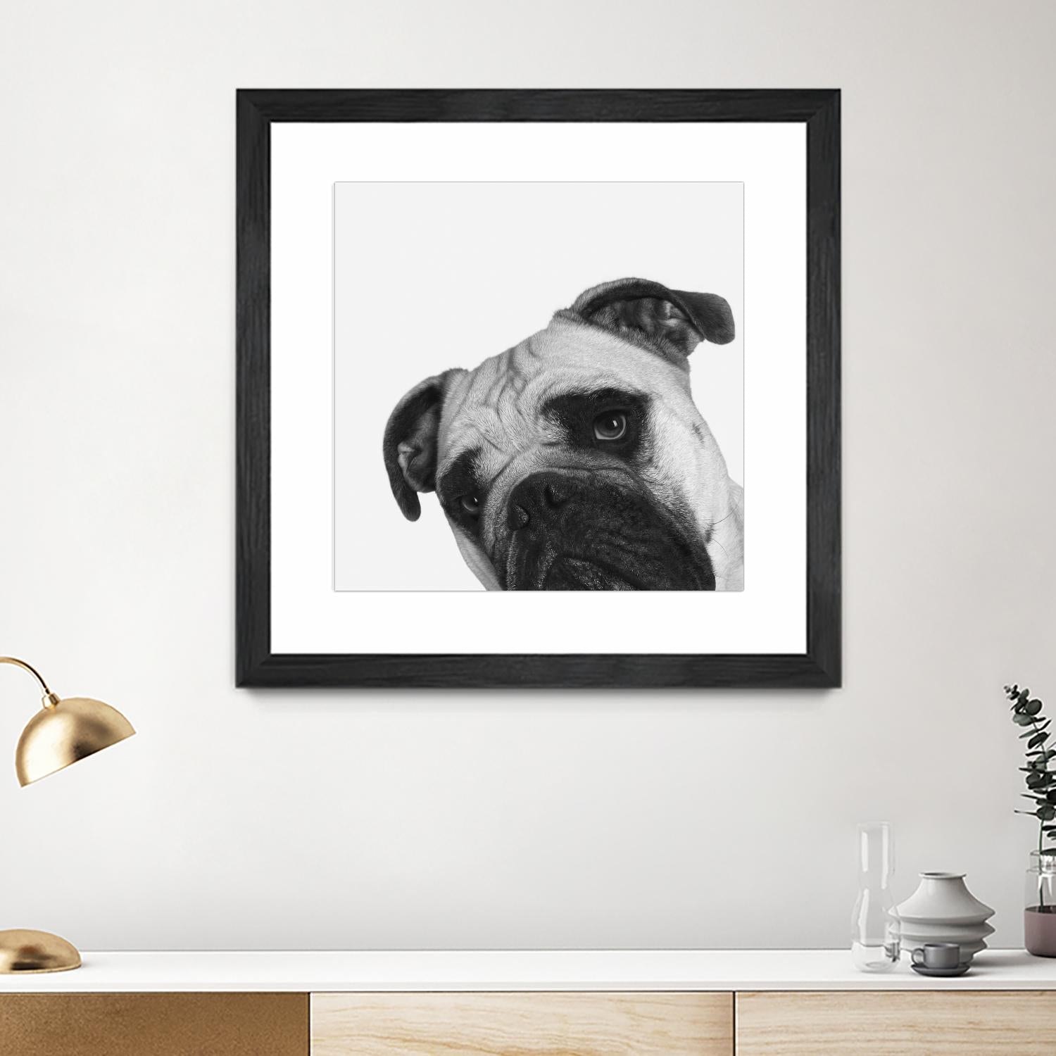 Qué Pasa? by Jon Bertelli on GIANT ART - multicolor animals; photography