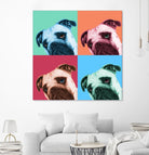 Que Pasa Pop by Jon Bertelli on GIANT ART - multicolor animals; photography; contemporary