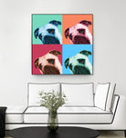 Que Pasa Pop by Jon Bertelli on GIANT ART - multicolor animals; photography; contemporary