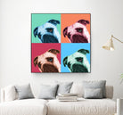 Que Pasa Pop by Jon Bertelli on GIANT ART - multicolor animals; photography; contemporary