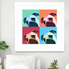 Que Pasa Pop by Jon Bertelli on GIANT ART - multicolor animals; photography; contemporary