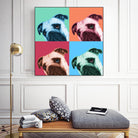 Que Pasa Pop by Jon Bertelli on GIANT ART - multicolor animals; photography; contemporary