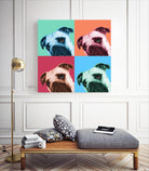 Que Pasa Pop by Jon Bertelli on GIANT ART - multicolor animals; photography; contemporary