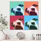 Que Pasa Pop by Jon Bertelli on GIANT ART - multicolor animals; photography; contemporary