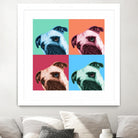 Que Pasa Pop by Jon Bertelli on GIANT ART - multicolor animals; photography; contemporary