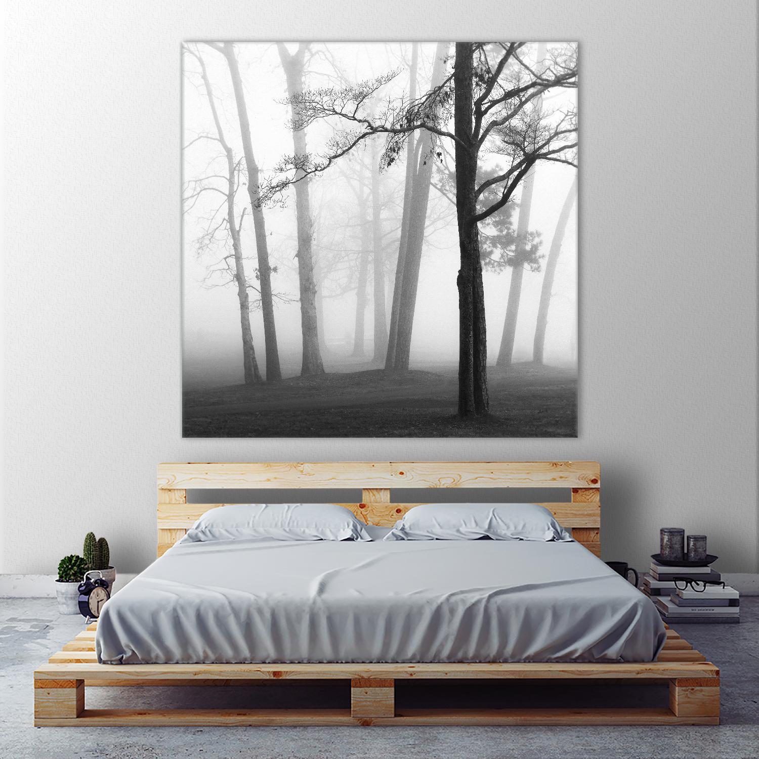 Etheral Trees by Nicholas Bell on GIANT ART - pink,orange landscapes, photography