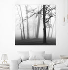 Etheral Trees by Nicholas Bell on GIANT ART - pink,orange landscapes, photography