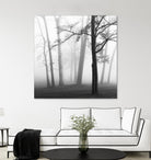 Etheral Trees by Nicholas Bell on GIANT ART - pink,orange landscapes, photography