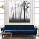 Etheral Trees by Nicholas Bell on GIANT ART - pink,orange landscapes, photography