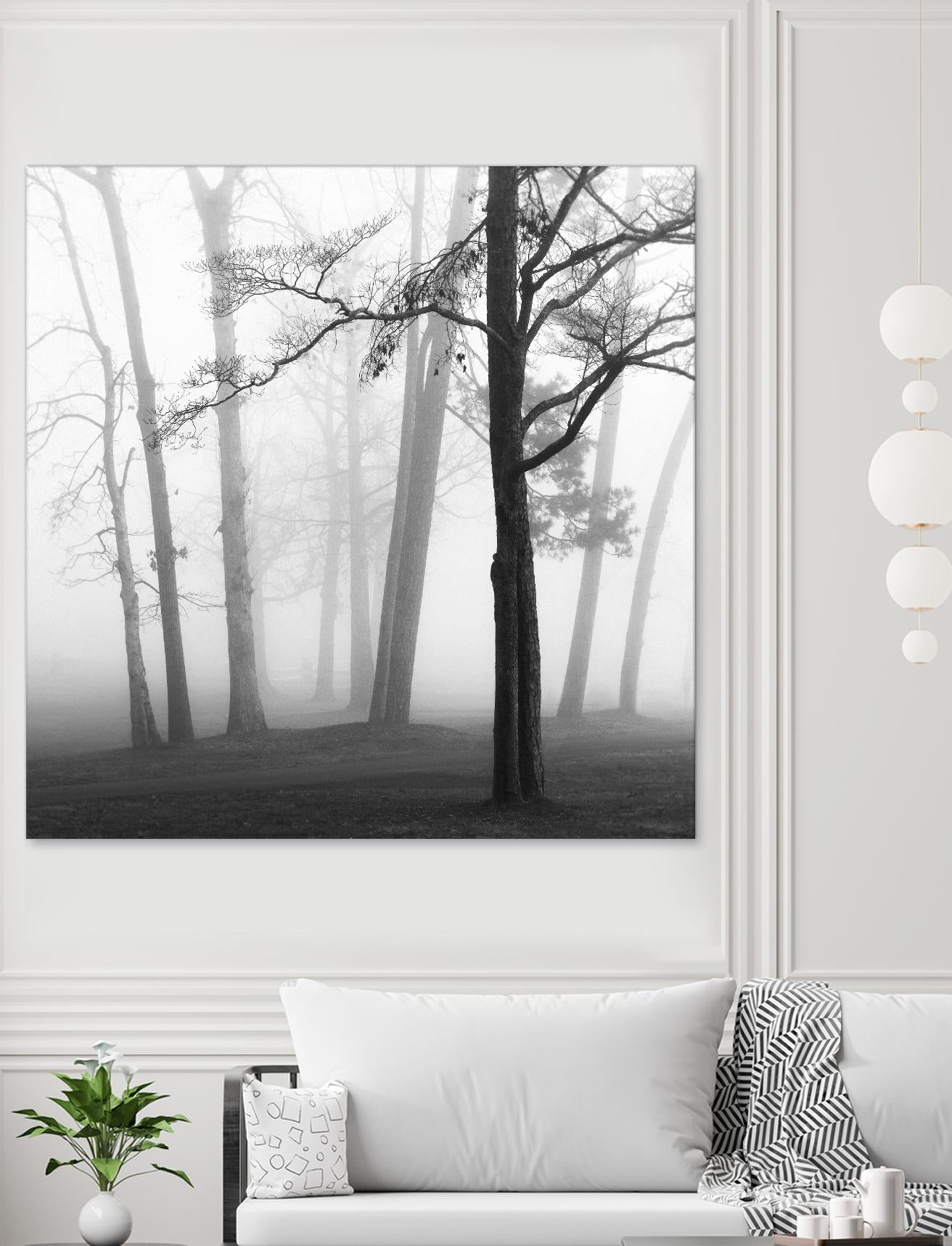 Etheral Trees by Nicholas Bell on GIANT ART - pink,orange landscapes, photography