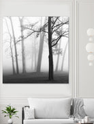 Etheral Trees by Nicholas Bell on GIANT ART - pink,orange landscapes, photography