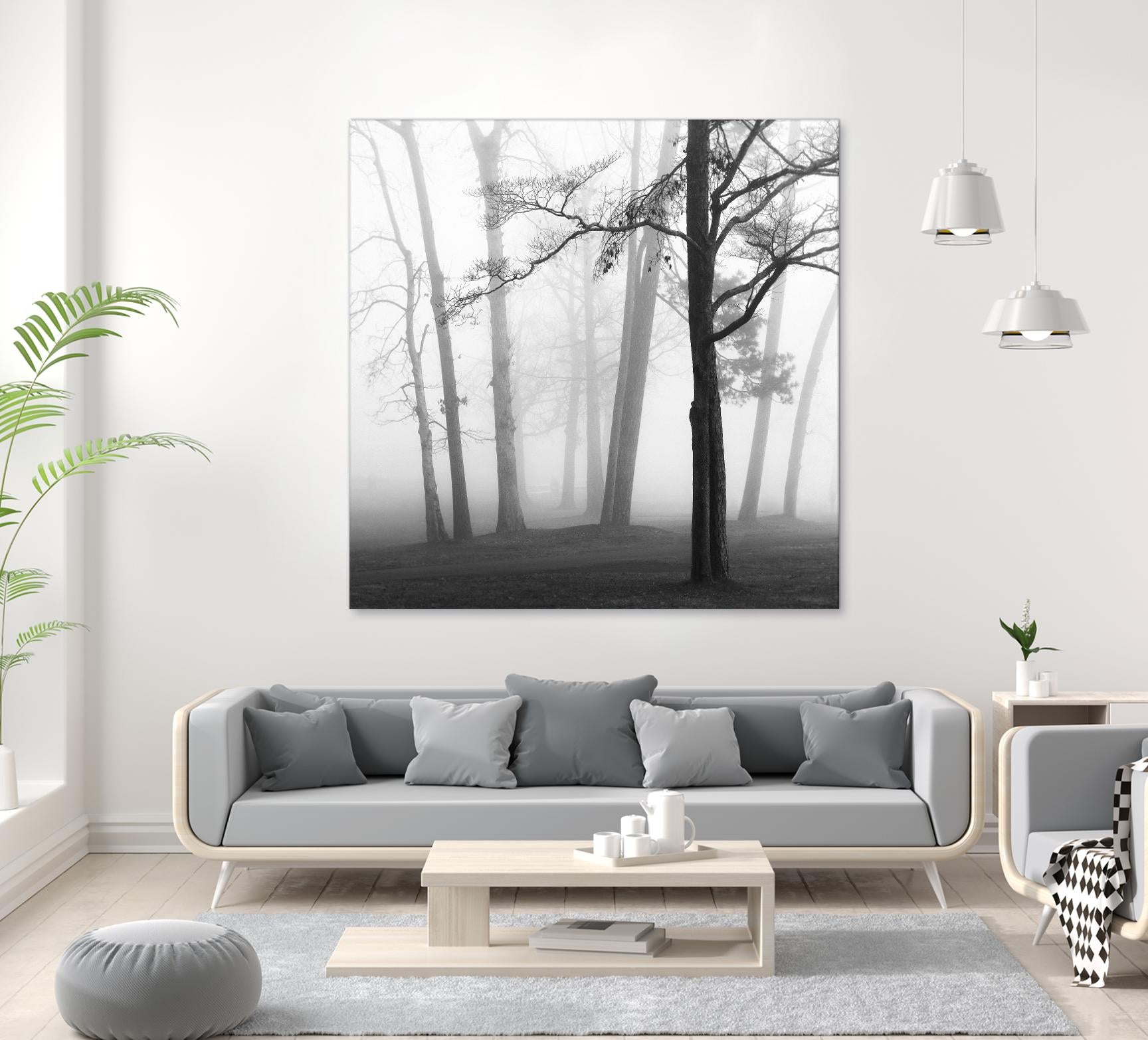 Etheral Trees by Nicholas Bell on GIANT ART - pink,orange landscapes, photography