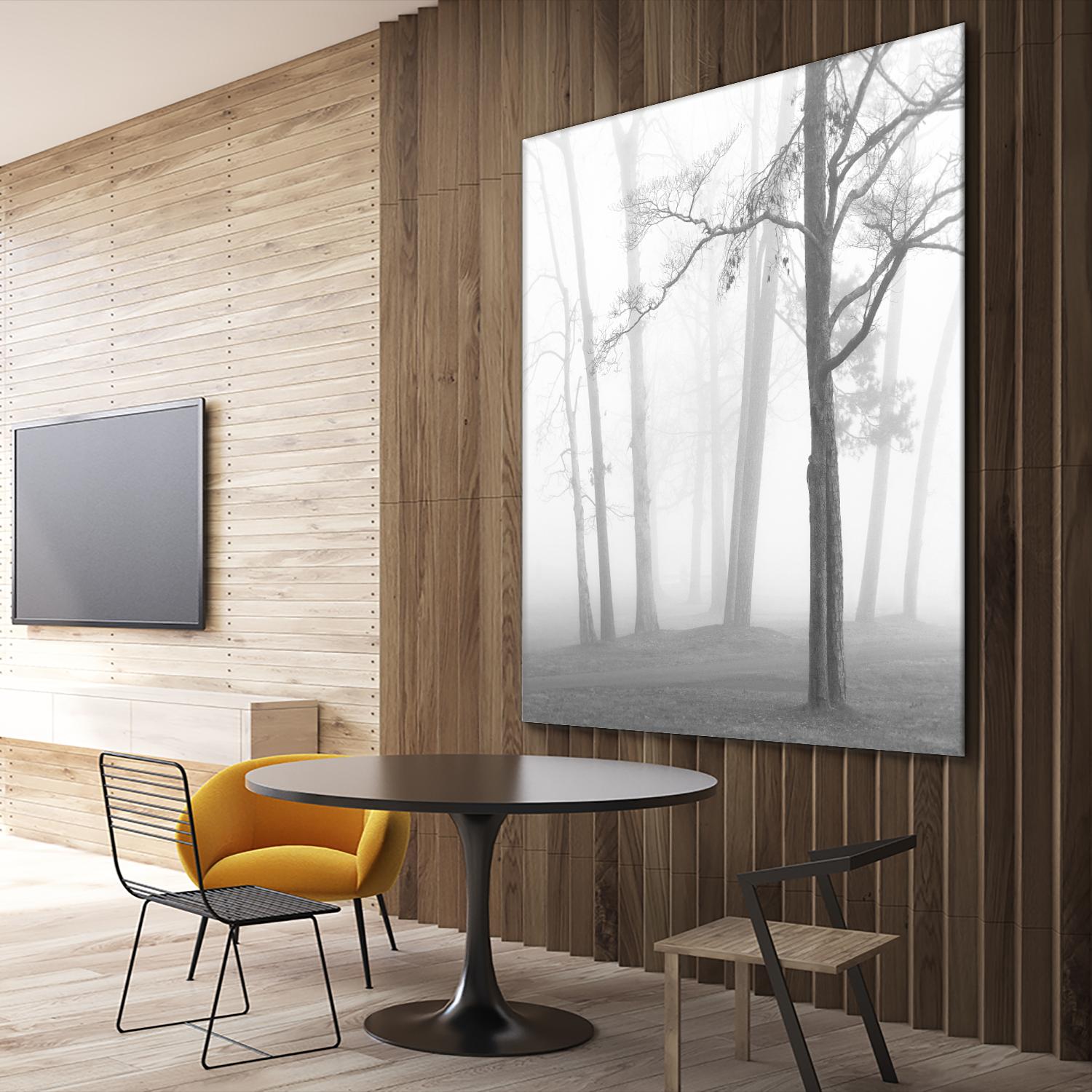 Etheral Trees by Nicholas Bell on GIANT ART - pink,orange landscapes, photography