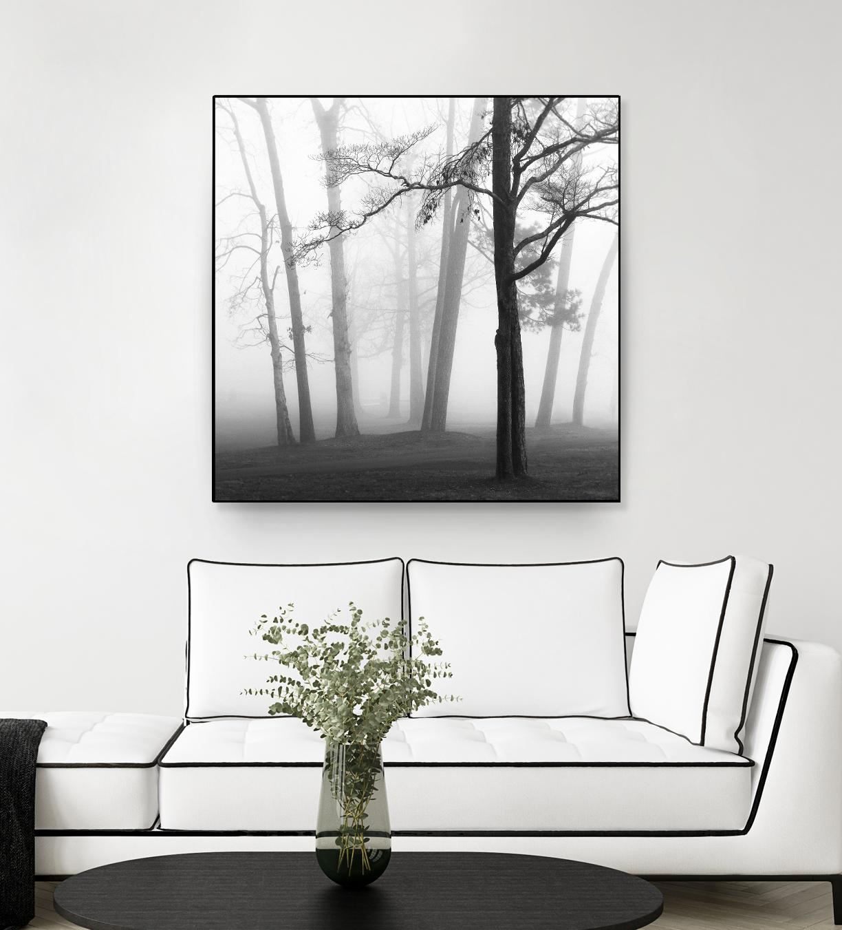 Etheral Trees by Nicholas Bell on GIANT ART - pink,orange landscapes, photography