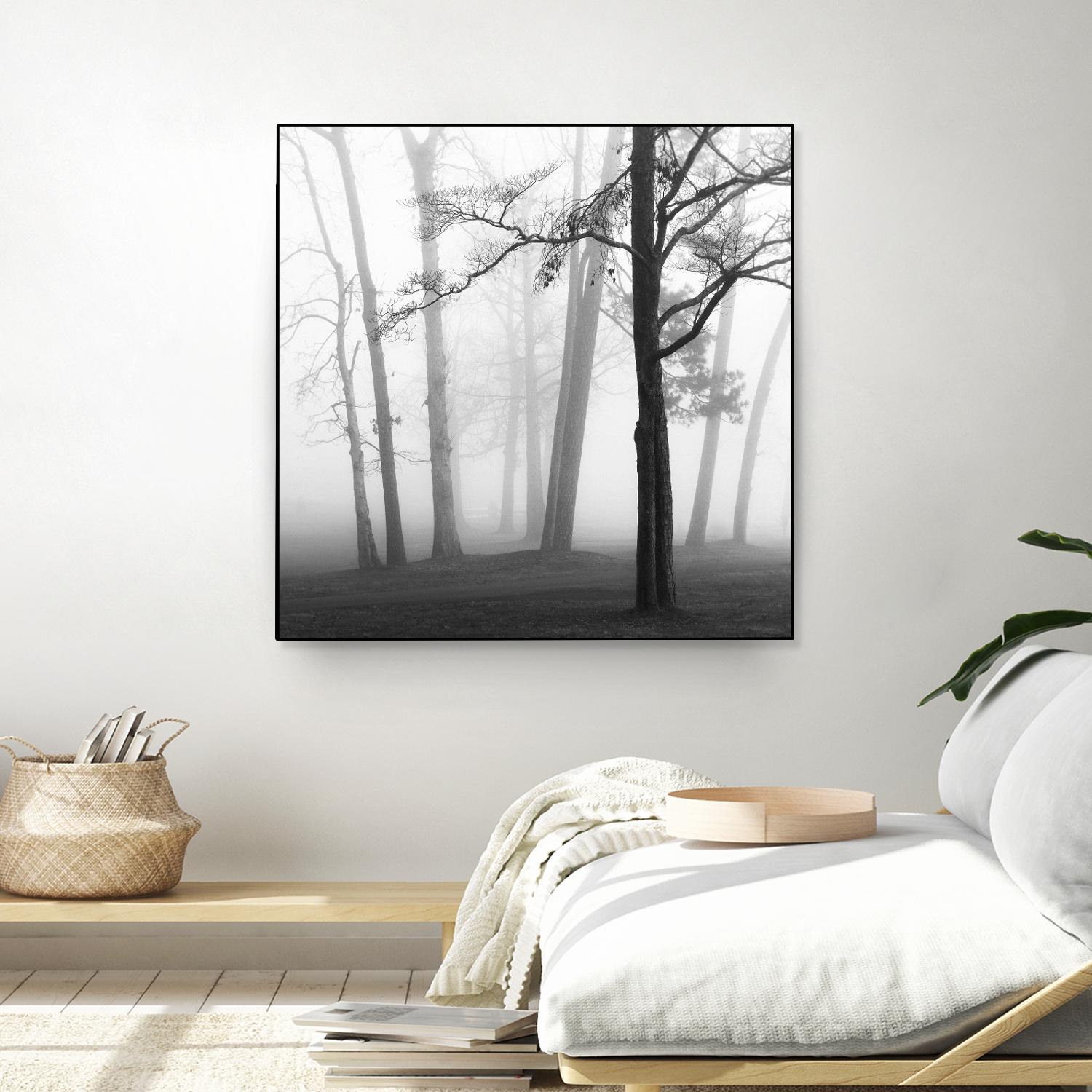 Etheral Trees by Nicholas Bell on GIANT ART - pink,orange landscapes, photography