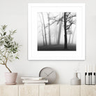 Etheral Trees by Nicholas Bell on GIANT ART - pink,orange landscapes, photography