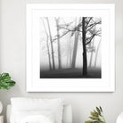 Etheral Trees by Nicholas Bell on GIANT ART - pink,orange landscapes, photography