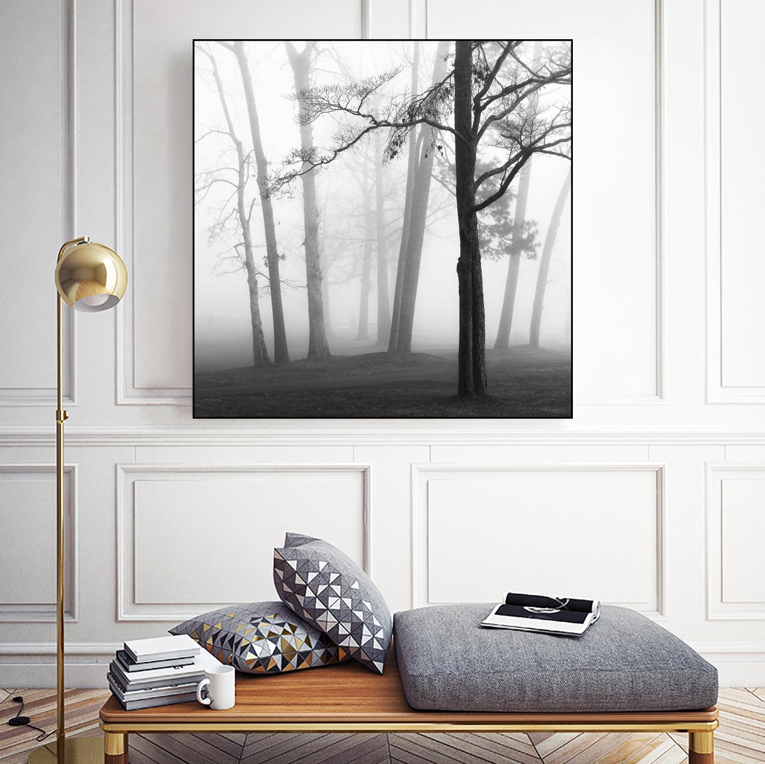 Etheral Trees by Nicholas Bell on GIANT ART - pink,orange landscapes, photography