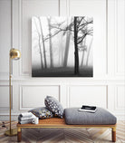 Etheral Trees by Nicholas Bell on GIANT ART - white black & white forest