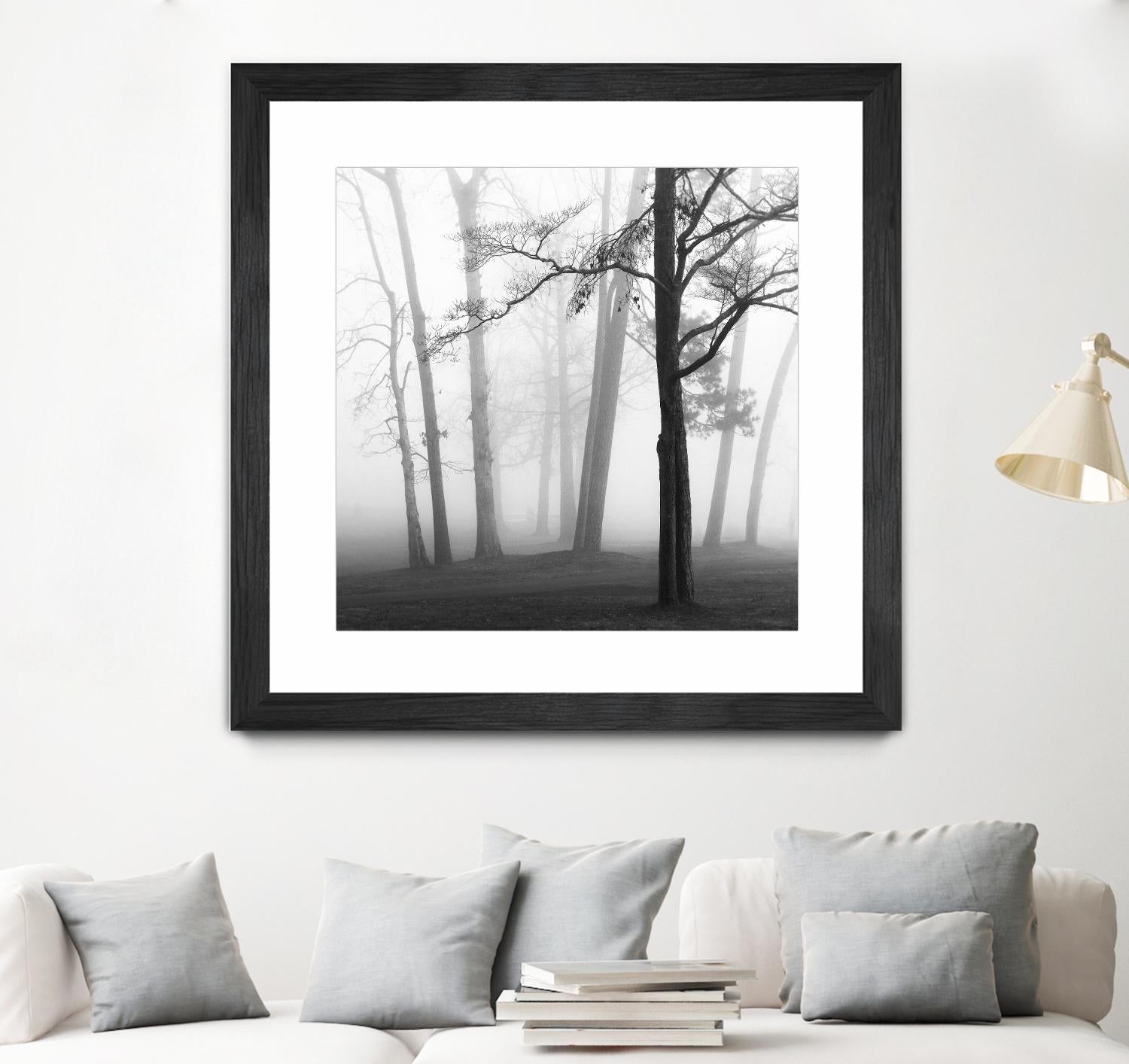 Etheral Trees by Nicholas Bell on GIANT ART - pink,orange landscapes, photography