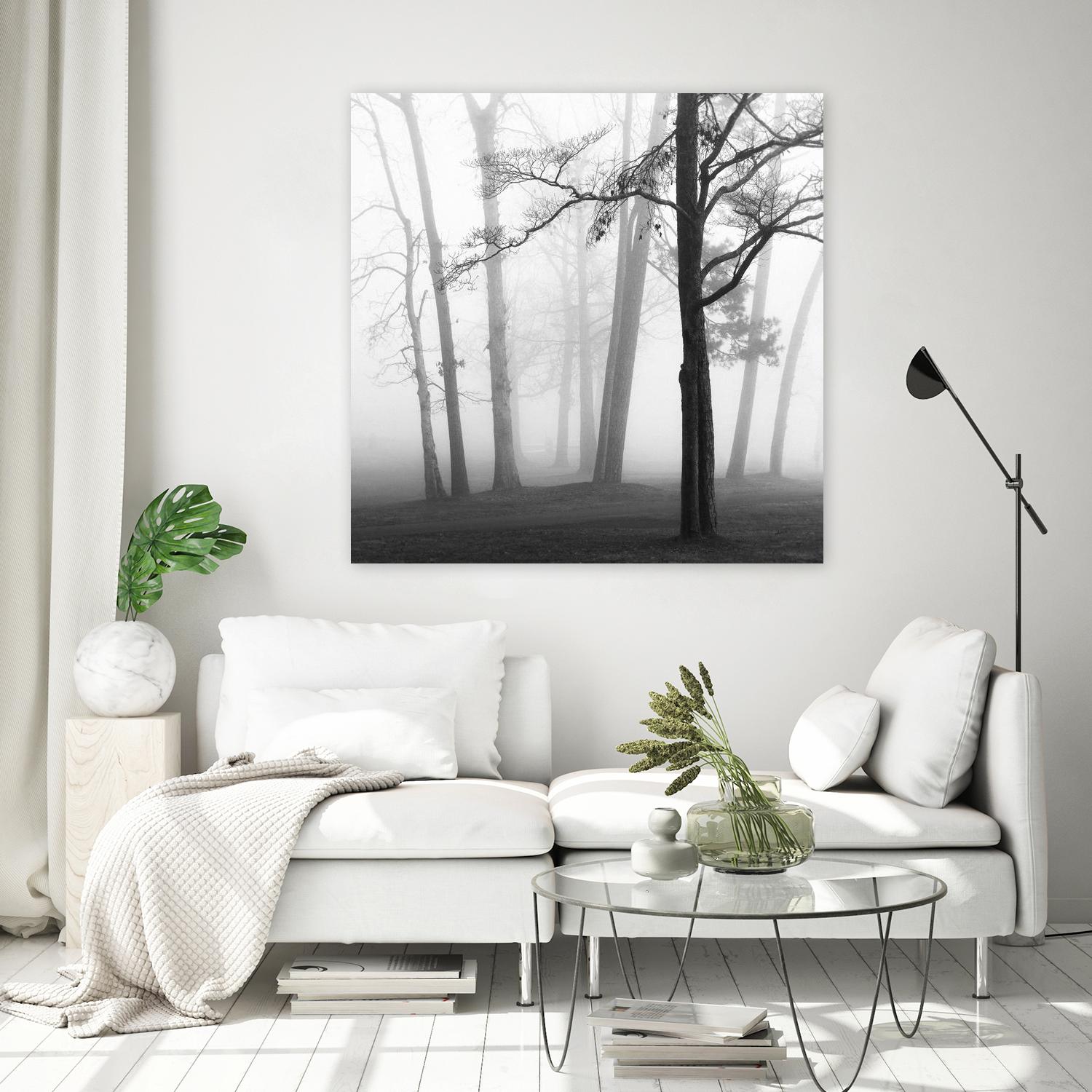 Etheral Trees by Nicholas Bell on GIANT ART - white black & white forest