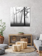 Etheral Trees by Nicholas Bell on GIANT ART - white black & white forest