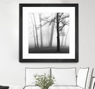 Etheral Trees by Nicholas Bell on GIANT ART - pink,orange landscapes, photography