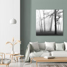 Etheral Trees by Nicholas Bell on GIANT ART - white black & white forest