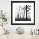 Etheral Trees by Nicholas Bell on GIANT ART - pink,orange landscapes, photography