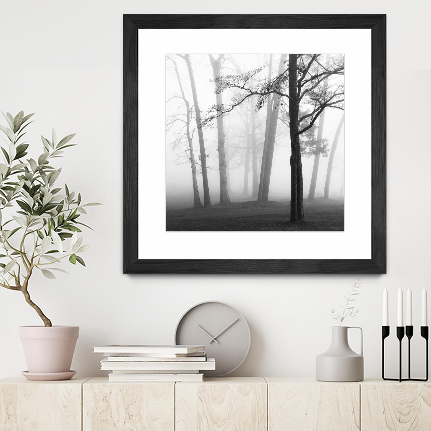 Etheral Trees by Nicholas Bell on GIANT ART - pink,orange landscapes, photography