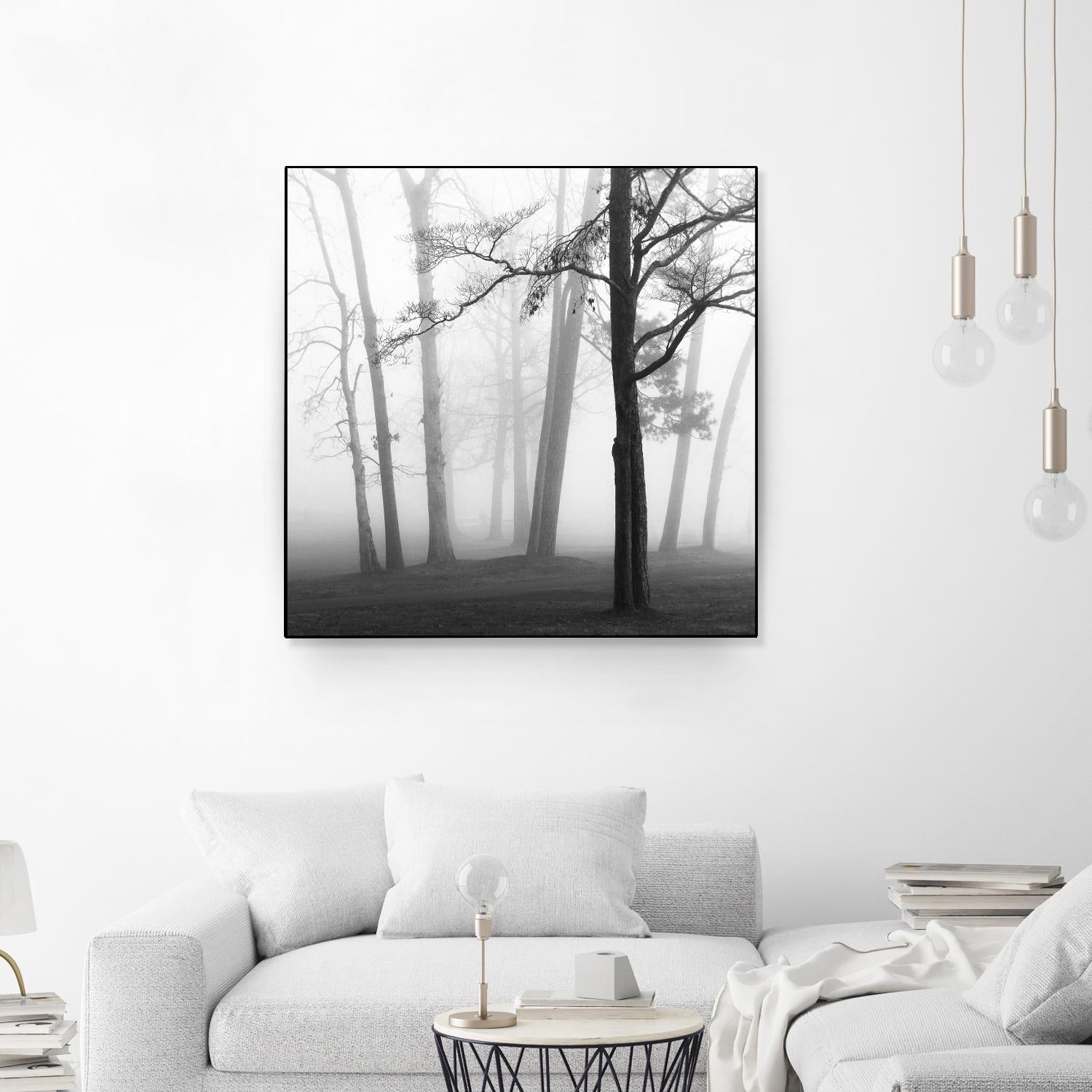 Etheral Trees by Nicholas Bell on GIANT ART - pink,orange landscapes, photography