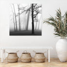 Etheral Trees by Nicholas Bell on GIANT ART - white black & white forest