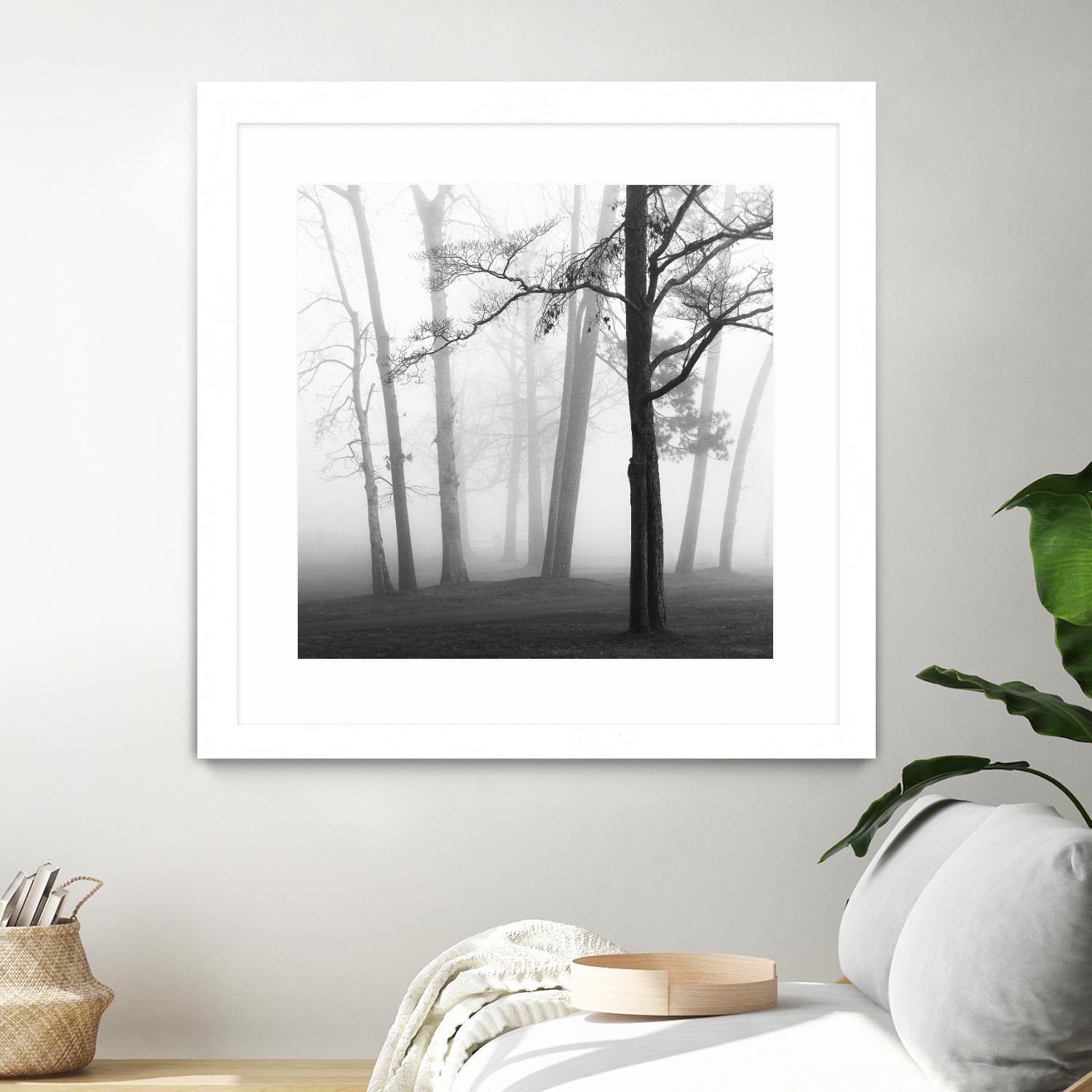 Etheral Trees by Nicholas Bell on GIANT ART - pink,orange landscapes, photography