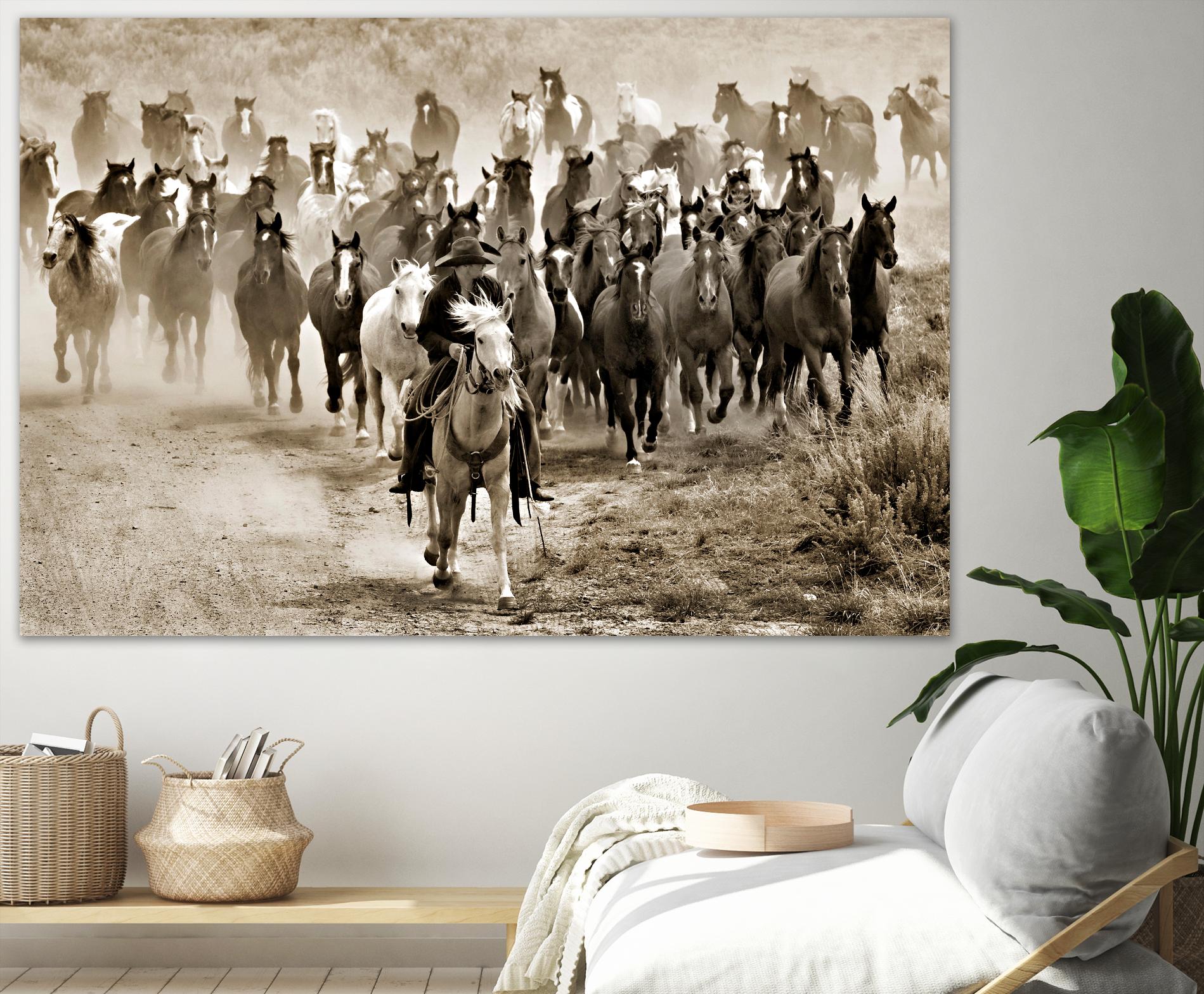 Heading Home by Lisa Dearing on GIANT ART - multicolor photography; animals; figurative