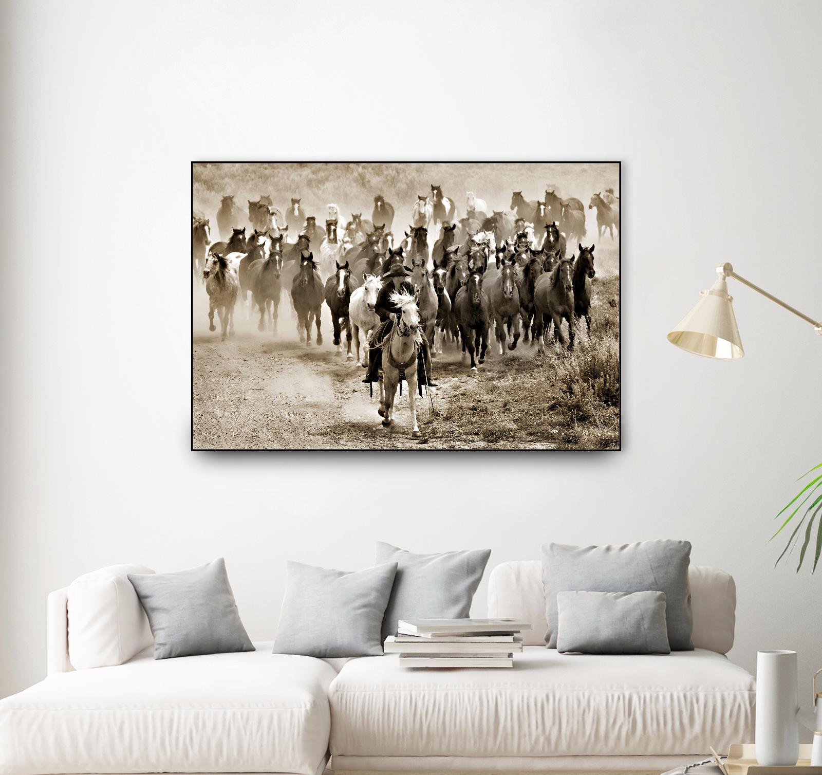 Heading Home by Lisa Dearing on GIANT ART - multicolor photography; animals; figurative