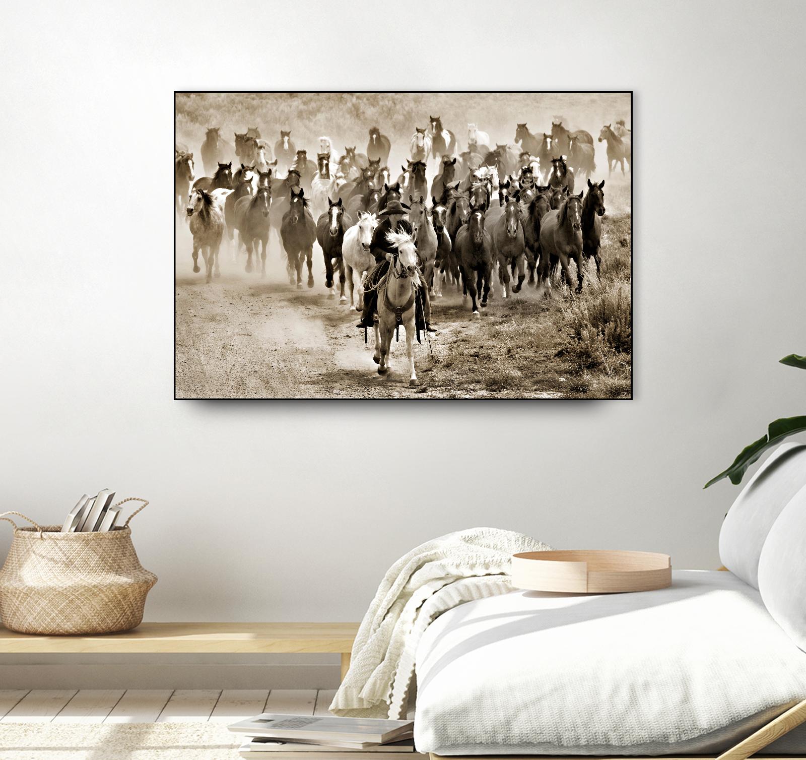 Heading Home by Lisa Dearing on GIANT ART - multicolor photography; animals; figurative