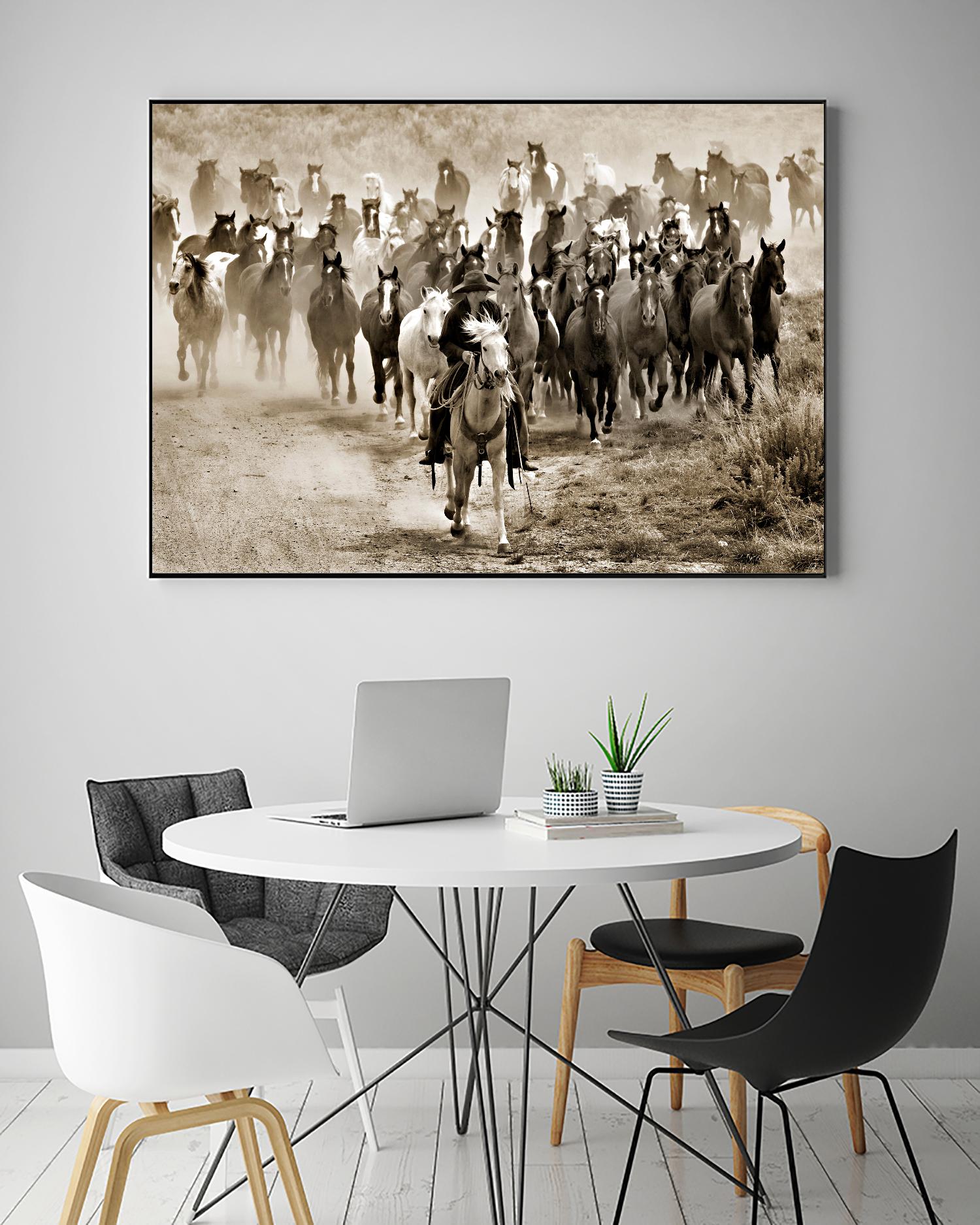 Heading Home by Lisa Dearing on GIANT ART - multicolor photography; animals; figurative