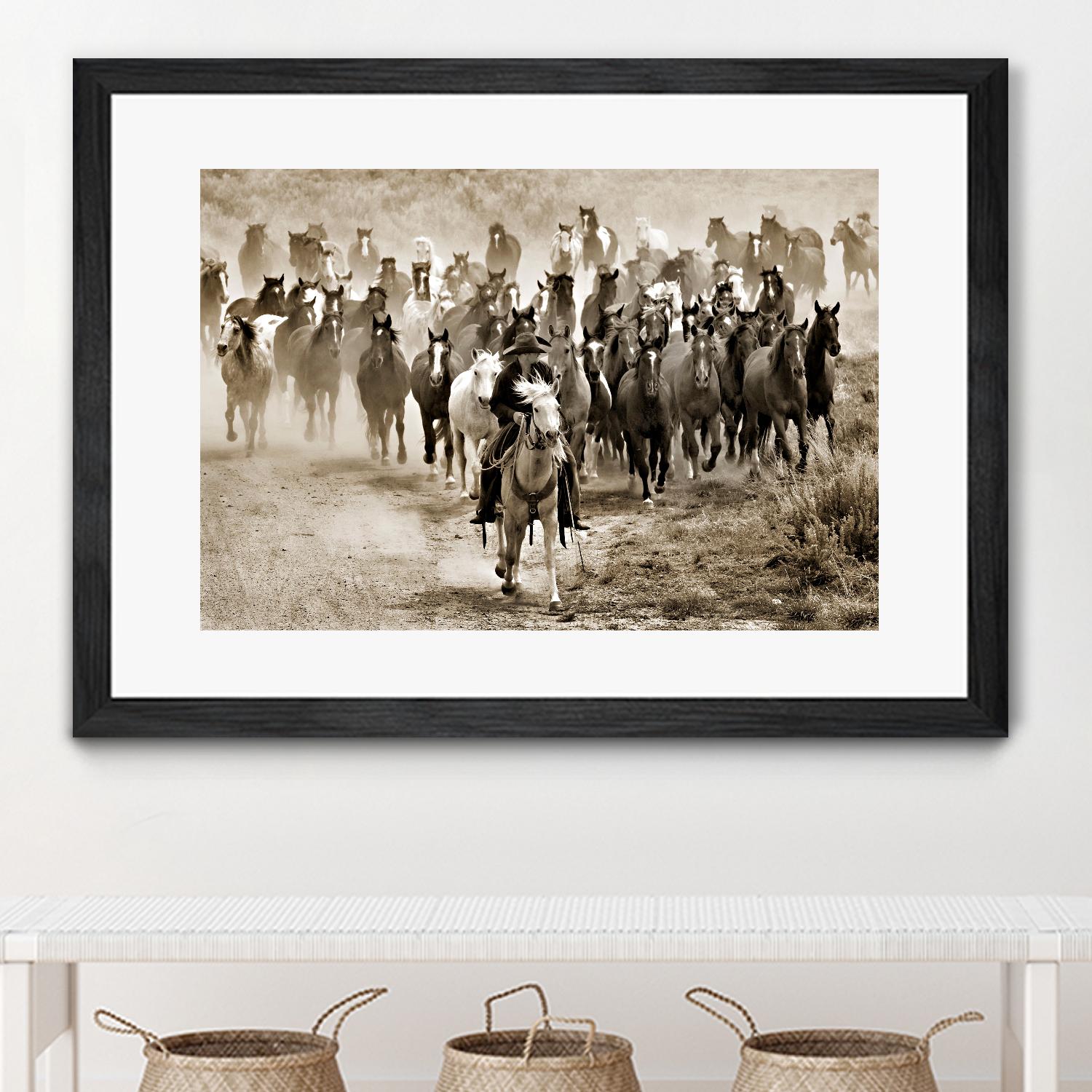 Heading Home by Lisa Dearing on GIANT ART - multicolor photography; animals; figurative