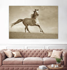 Like the Wind by Lisa Dearing on GIANT ART - multicolor photography; animals