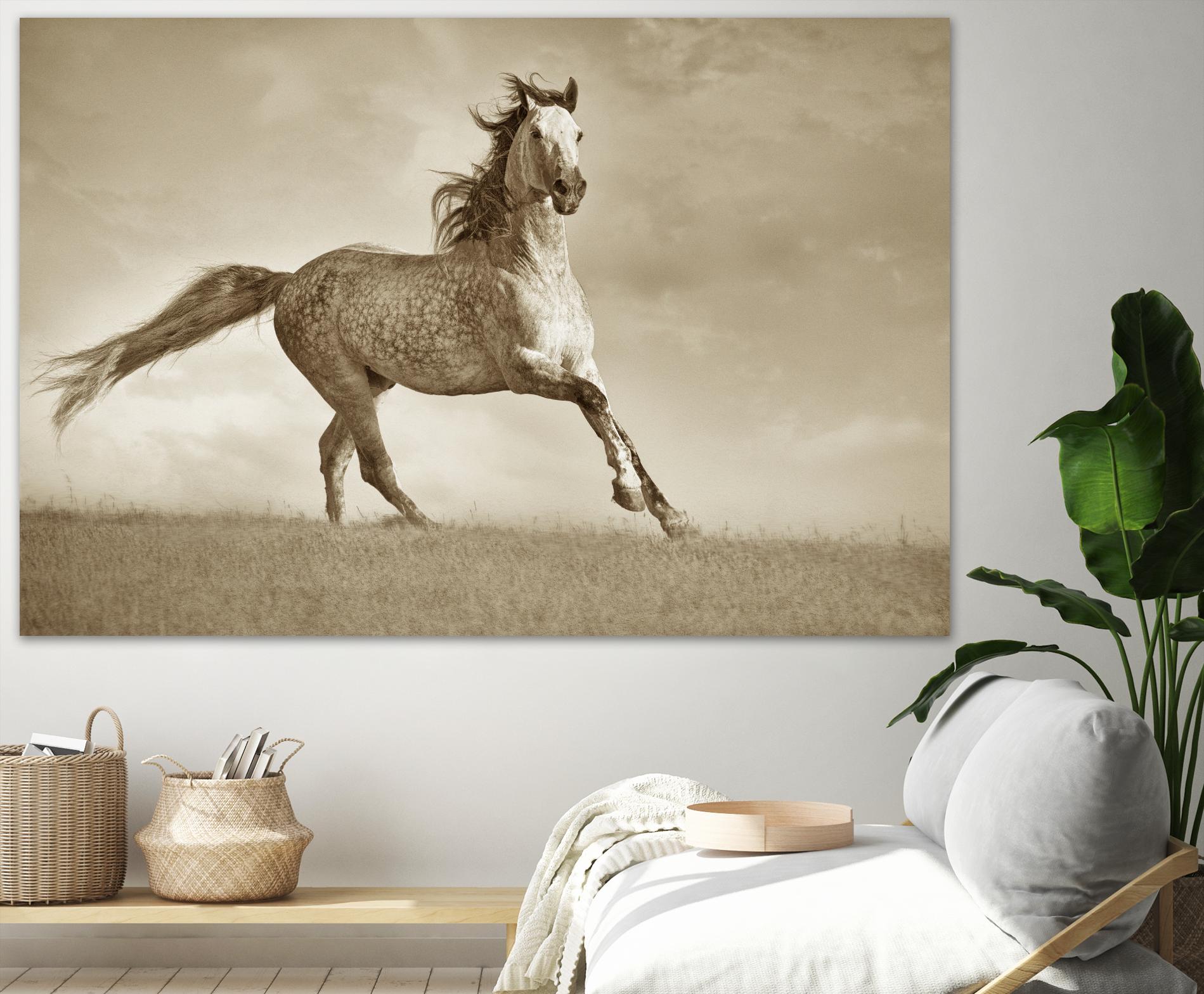 Like the Wind by Lisa Dearing on GIANT ART - multicolor photography; animals