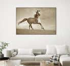 Like the Wind by Lisa Dearing on GIANT ART - multicolor photography; animals