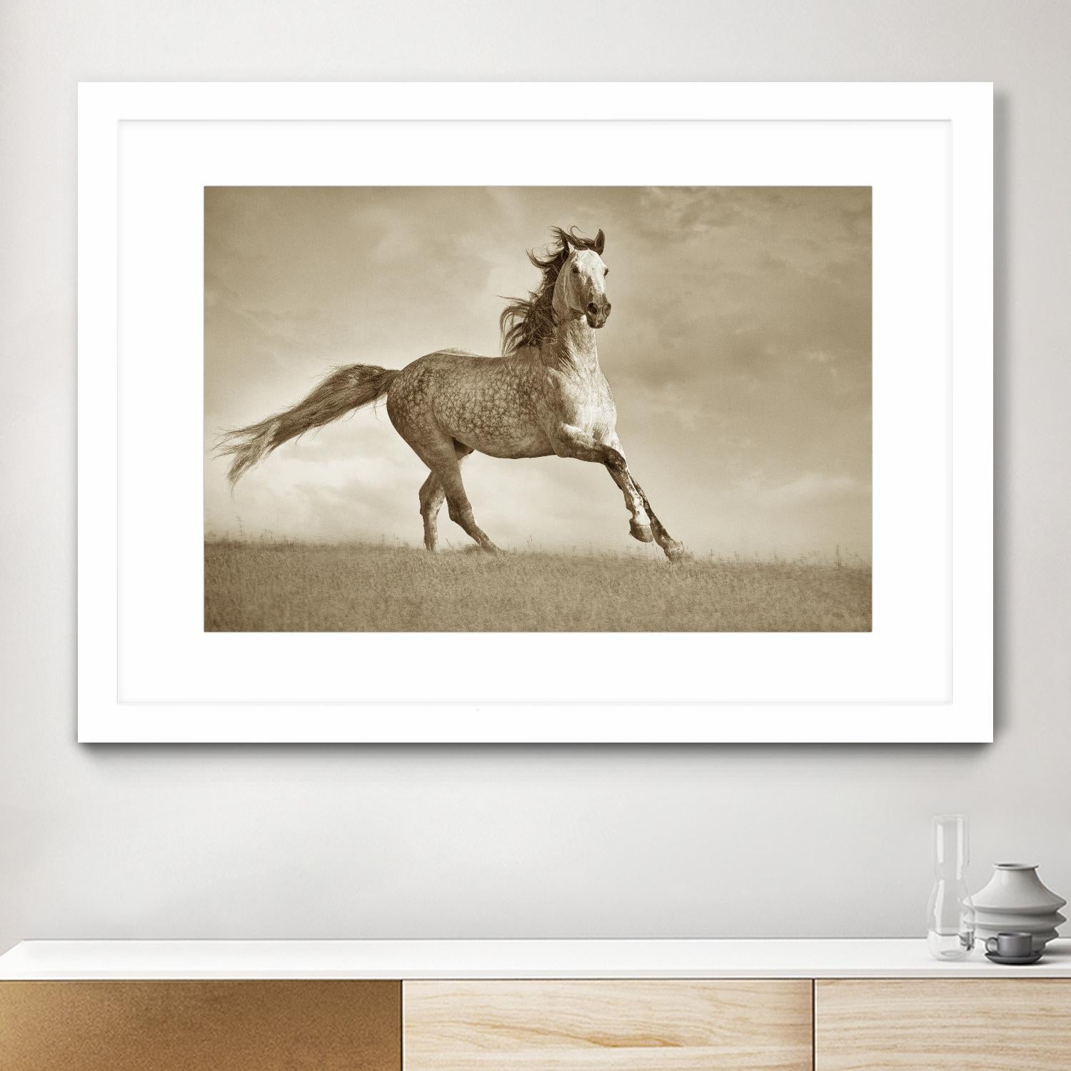 Like the Wind by Lisa Dearing on GIANT ART - multicolor photography; animals