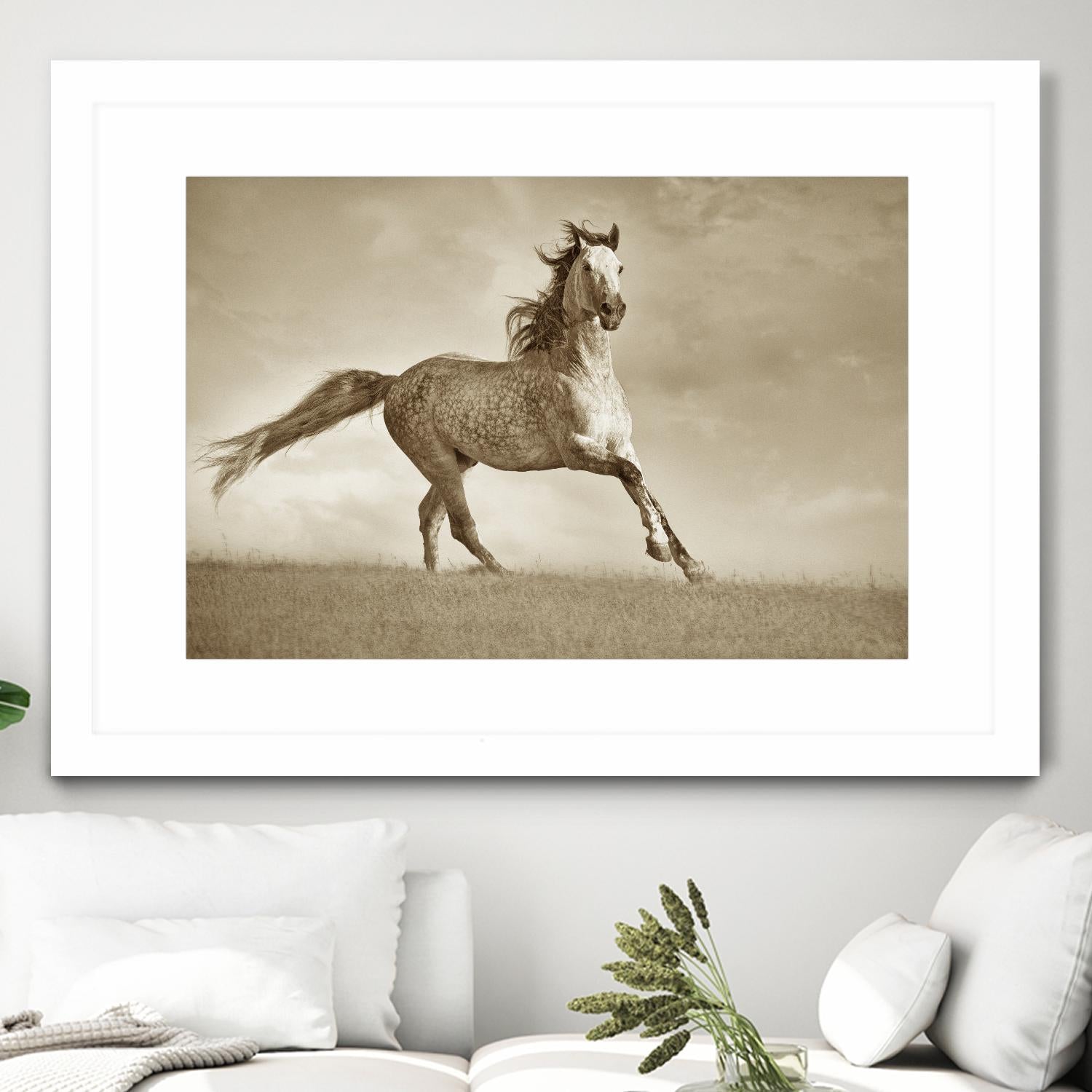 Like the Wind by Lisa Dearing on GIANT ART - multicolor photography; animals